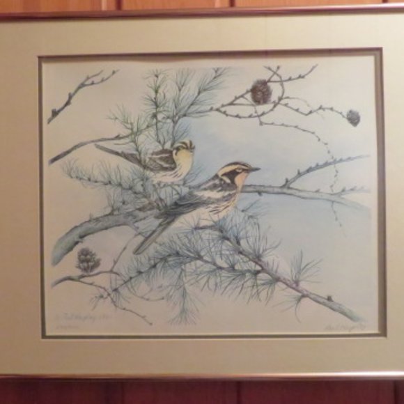 Blackburnian Warblers Paul Harpley Framed Birds Print 1989 (K373) - Picture 2 of 8